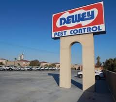 Rodent trapping, removal, exclusion & sanitation. Palm Springs Dewey Pest Control