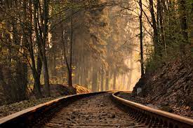 Autumn Railway 3602 X 2398 Other Photography Miriadna Com Railroad Pictures Train Tracks Scenic Photos