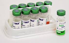 Purevax Felv