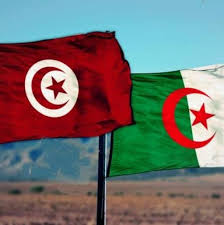 تونس والجزائر بلد واحد سنتأهل معا والبليلة سيتم ركلها خارج افريقيا.ليك شوق في حاجة يازبالك؟#الترجي_خايف pic.twitter.com/fvakdrqqbf. ØªÙˆÙ†Ø³ Ùˆ Ø§Ù„Ø¬Ø²Ø§Ø¦Ø± Ø¨Ù„Ø¯ ÙˆØ§Ø­Ø¯ Home Facebook