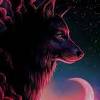 White wolf (hd white wolf 4k photos). Https Encrypted Tbn0 Gstatic Com Images Q Tbn And9gcqg 7hwfffo5p1uos185waqtodsugjnc Nlfoucemvsqmxde7cq Usqp Cau