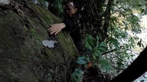 Karena itulah, anda harus mengatasi hal tersebut agar perjalanan tetap terasa. Kenapa Kalian Ribut Di Tempat Kami Eps Vii Habis Xpala Ekspedisi Selendang Biru Sebuah Catatan Perjalanan Di Taman Nasional Bogani Nani Wartabone Desa Bumbung Bolmong Indonesia Instink Net