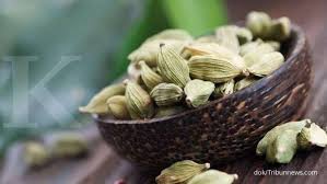 Series kisah untuk geri always updated at asiantv. Manfaat Kapulaga Untuk Kesehatan Obat Kuat Sampai Meredakan Asam Urat