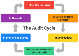 The Current State Of Clinical Audit In Health Social Care Clinical Governance Social Care Clinic