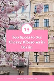So schnell ist weihnachten schon wieder vorbei 😅. Discover The Top Spots For Cherry Blossoms In Berlin 2021