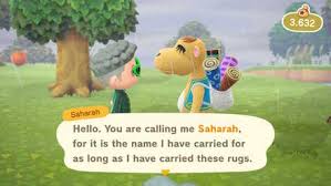 If you have the beautiful town ordinance in place, it will take longer for your. Saharah S Rugs Wallpaper And Flooring Acnh Animal Crossing New Horizons Switch Game8