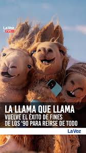 La Voz del Interior | LA EMBLEMÁTICA CAMPAÑA LA LLAMA QUE LLAMA REGRESA CON  SERIE PROPIA 📺 📱 Los personajes de la publicidad creada hace más de 25  años regresan... | Instagram