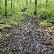 Doris Chamberlain Nature Preserve