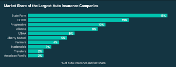 Pokerson Insurance The Top Ten 10 Largest Auto Insurance