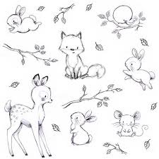 Tiere Zeichnen Lernen Baby Animal Drawings Cute Sketches Cute Animal Drawings