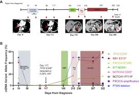 A tumor marker for patients with mesothelioma and ovarian cancer. Blood Based Surveillance Monitoring Of Circulating Tumor Dna From Patients With Sclc Detects Disease Relapse And Predicts Death In Patients With Limited Stage Disease Jto Clinical And Research Reports
