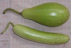 Dari segi penyertaan perakaunan, setiap kali amaun meningkatkan perbelanjaan hutang lapuk. What Is Lauki Vegetable Called In English Quora