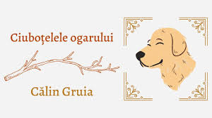 Rezolvă acum testele deciuboţelele ogarului de călin gruia de pe platforma educațională kidibot și câștigă super premii. CiuboÈelele Ogarului De CÄlin Gruia Audiobook Youtube