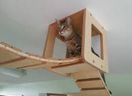 We have contracts with 6 of australia's best national couriers, so we can ensure your. Amazing German Designed Cat Climbing Furniture Hauspanther