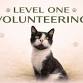Level 1- New Volunteer Orientation