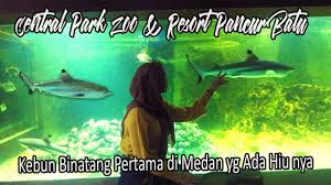 Maybe you would like to learn more about one of these? Central Park Zoo Resort Pancur Batu Kebun Binatang Pertama Di Medan Yang Ada Hiu Nya Youtube