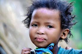 Stock Image Search Results