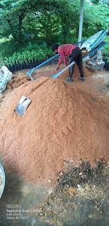 Check spelling or type a new query. Nurseri Pokok Ampang Selangor Malaysia Home Facebook