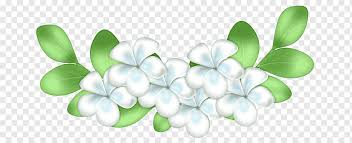 White Jasmine Flower Ppt Background Watercolor Painting White Flower Png Pngwing