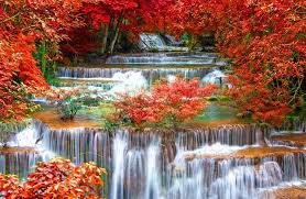 Pin On Nature