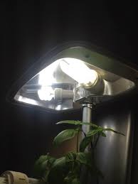 Cheap Alternative For Aerogarden Grow Lights Adapters For Regular Light Bulbs Indoor Gardening My Aerogarden And Houseplant Blog