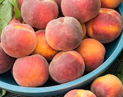 Browse 2,690 nectarine images stock photos and images available, or start a new search to explore more stock photos and images. Tips On Growing Peaches And Nectarines Gurney S Fruit Trees