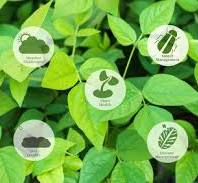 Méthodes alternatives en protection des plantes : point sur ...