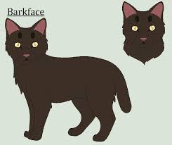 3 brown and white cat names. Barkface Ultimate Warrior Cats Wiki Fandom