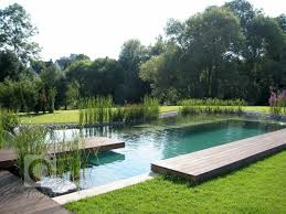 Pin By Jitka Lochschmidtova On Zahrada Swimming Pool Landscaping Natural Swimming Ponds Garden Swimming Pool