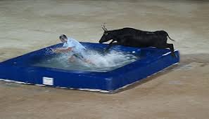 Petition Annuler Le Jeu Taureau Piscine De Saint Marcel D Urfe