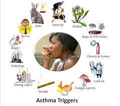 How To Reduce Asthma Allergy Triggers In Your Home Asthma Treatment Asthma Kids Asthma Cure