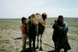 877 likes · 1 talking about this. Ask A Mongolian Camel Herder Modern Farmer
