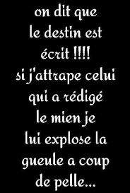 Quel Fadeur Le Destin Bien Un Truc De Fou Que Dire A Un Ecrivain Que Tu N As Pas Lu Liste De Mot A Eviter Desti Citation Humour Citation Citation Rigolote