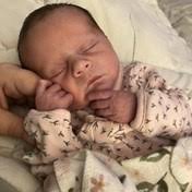 Punch Family Obituaries