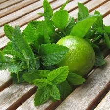 Zitrus Minze Sirup Sauerlich Und Aromastark Rezept Limetten Sirup Sirup Rezepte