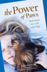 The Power of Paws: Reflections