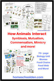 These Pages From Our 70 Page Biology Unit Cover Biological Relationships And Terms Such As Symbiosis Mutualism Comm Biology Worksheet Commensalism Mutualism
