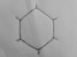 Draw It Neat How To Draw Plant Cell Plant Cell Biology Drawing Biology Diagrams