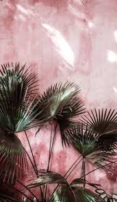 T N Talinordia On Pinterest