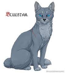 Bluestar By Vialir On Deviantart Warrior Cats Comics Warrior Cats Books Warrior Cats Art