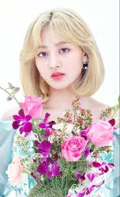 njmsjmdct2 on twitter ジヒョ トゥワイス twice 日本