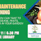 Low Maintenance Gardening
