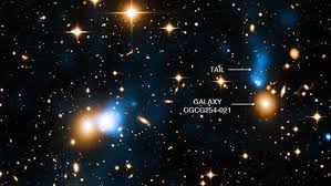 Dalam pandangan kini mengenai pembentukan bintang, teras awan molekul (kawasan berkepadatan tinggi) menjadi tidak stabil secara graviti, berpecah dan mula meruntuh. Mengenang Astronom Leon Mestel Penemu Medan Magnet Bintang