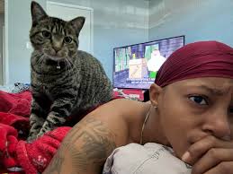 Introduction to cat owners and their pets