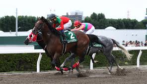 Maybe you would like to learn more about one of these? ãƒ¬ãƒ¼ã‚¹ã«ã¤ã„ã¦ ã‚¨ãƒ«ãƒ ã‚¹ãƒ†ãƒ¼ã‚¯ã‚¹ ä»Šé€±ã®æ³¨ç›®ãƒ¬ãƒ¼ã‚¹ Jra