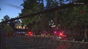 Shooting at Harry Todd Park Leaves Seven Injured