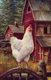 By The Barn Rooster Painting Chicken Art Rooster Art