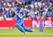 Image result for cricket