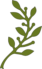 Pdc Berry Leaf 2182015 Flores Estampas Riscos