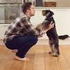 Story image for dog news articles from Medical News Today